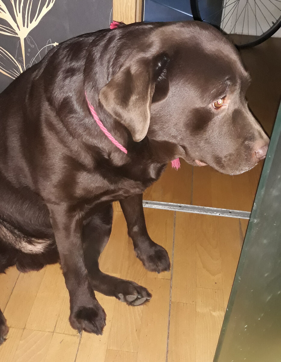 Грустный Ганя