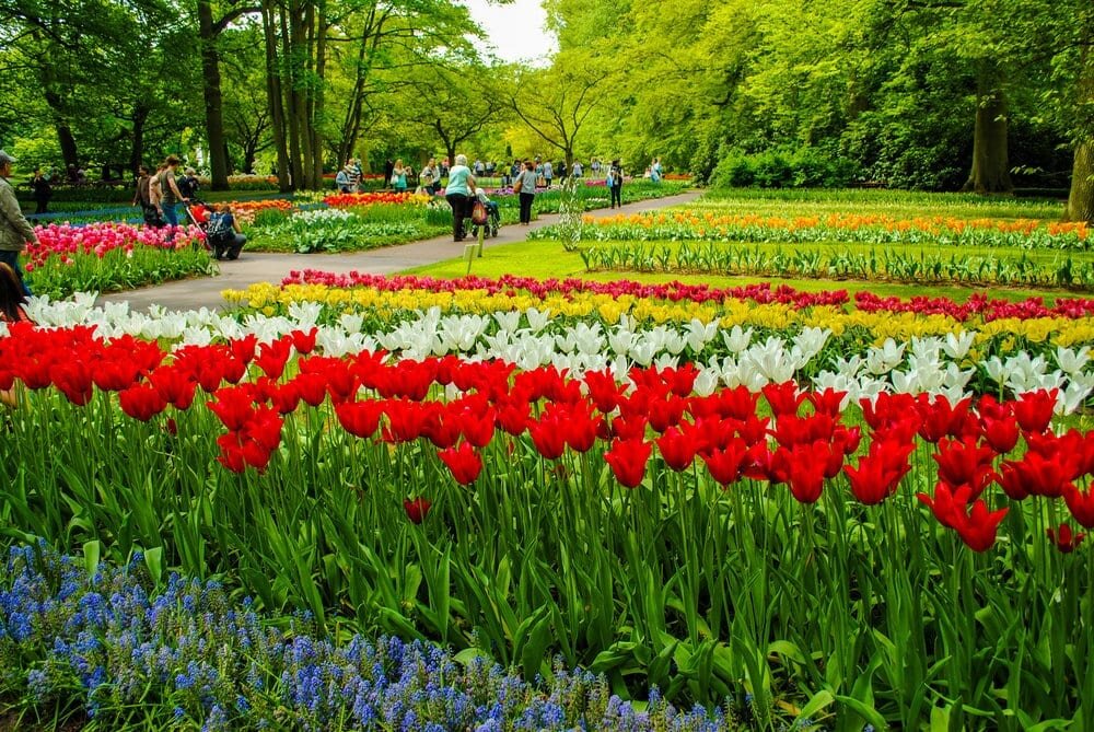 Фото № 1. Москва или Голландия? Фото из открытых источников