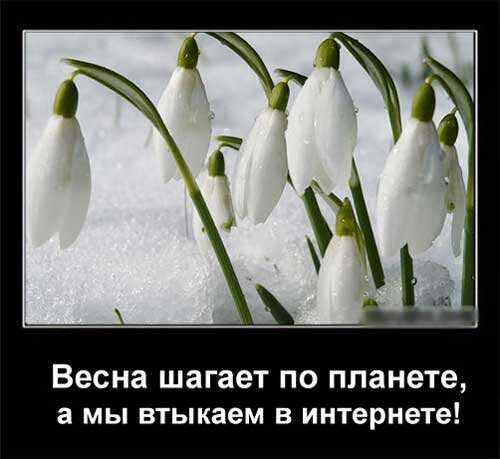 Яндекс картинки