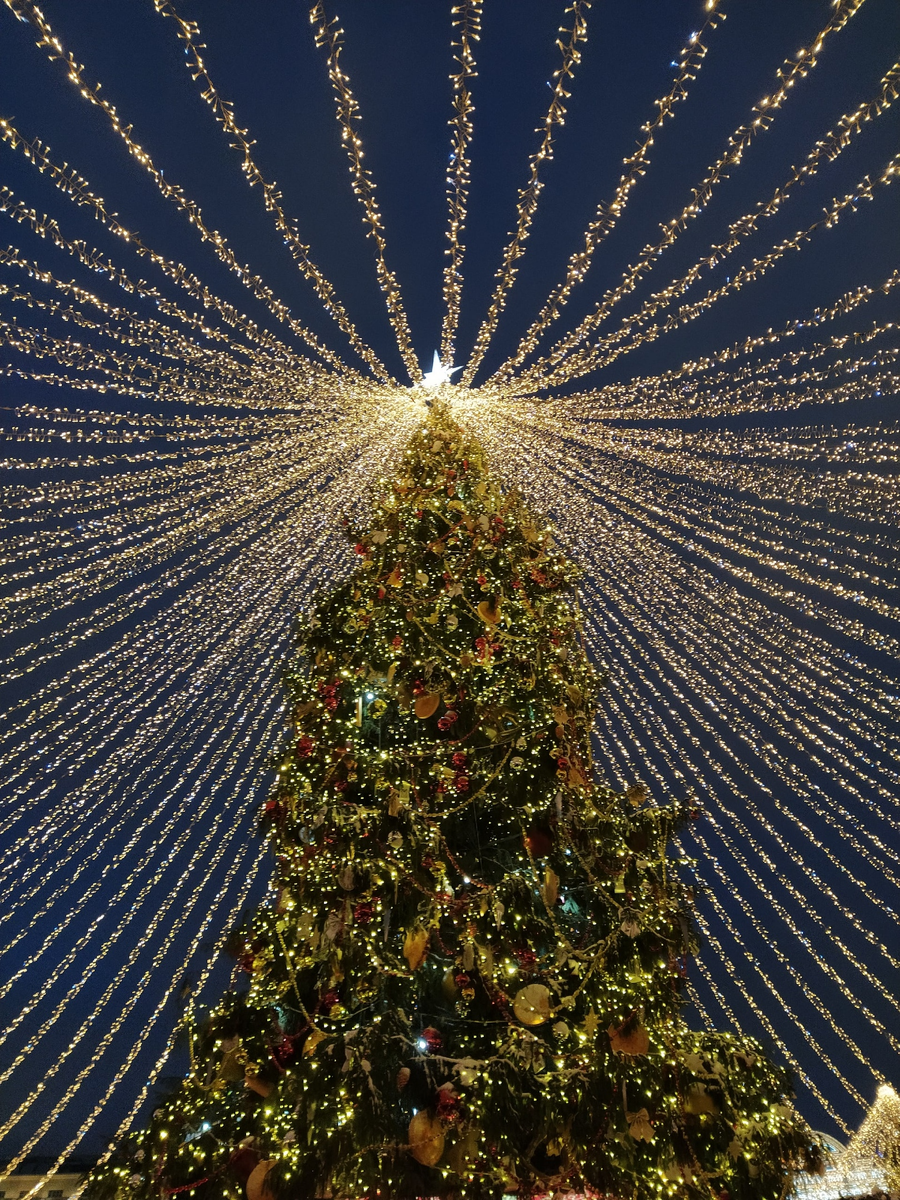 Главная ёлка страны.