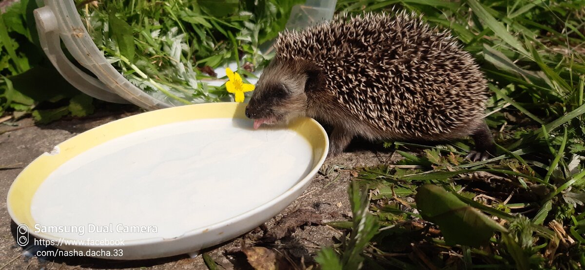 Макс. Фото из личного архива (с) Лайка Ваймуле