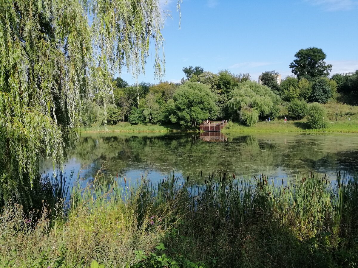 Про купленный участок моя подруга забыла на какое-то время. Фото: Мир квартир