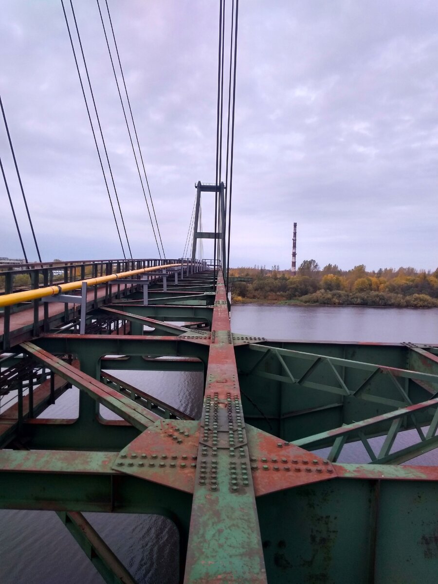 Залезли на заброшенный вантовый мост в Ленобласти. Считали себя отважными,  пока не встретили местных бабушек | Необъятная Родина с Лидией Шараповой |  Дзен