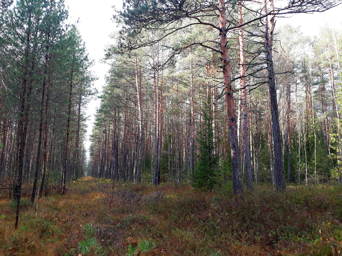 Сегодня, кстати, солнечно