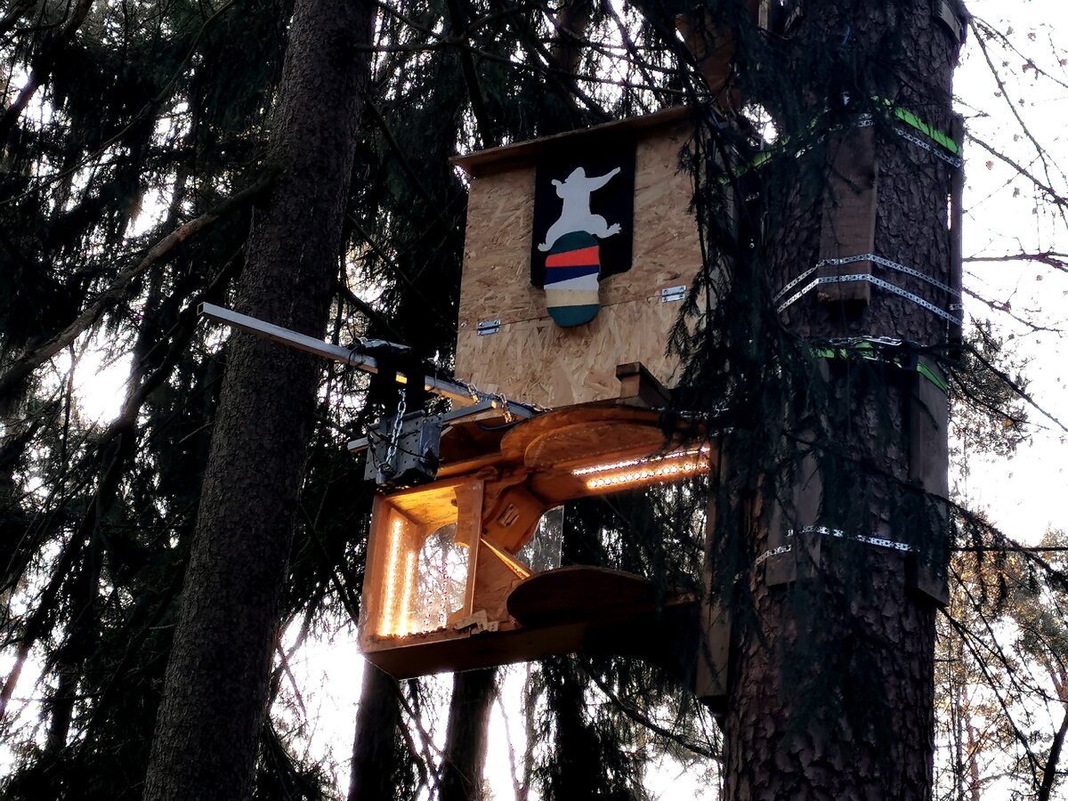 Эта кормушка оборудована видеокамерой. Можно подключиться к трансляции и вблизи понаблюдать за беличьей жизнью. 