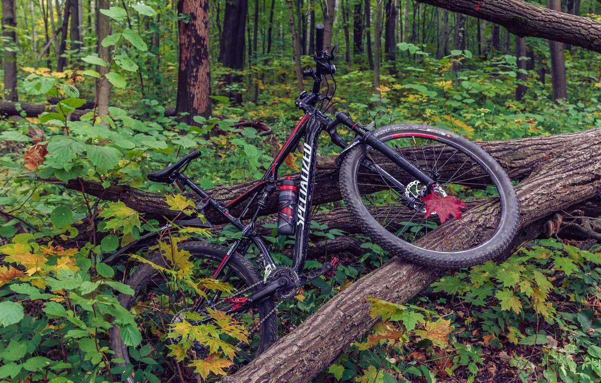 Источник https://www.goodfon.ru/wallpaper/sport-velosport-velosiped-baik-osen-listia-les-sport-mtb-bik.html