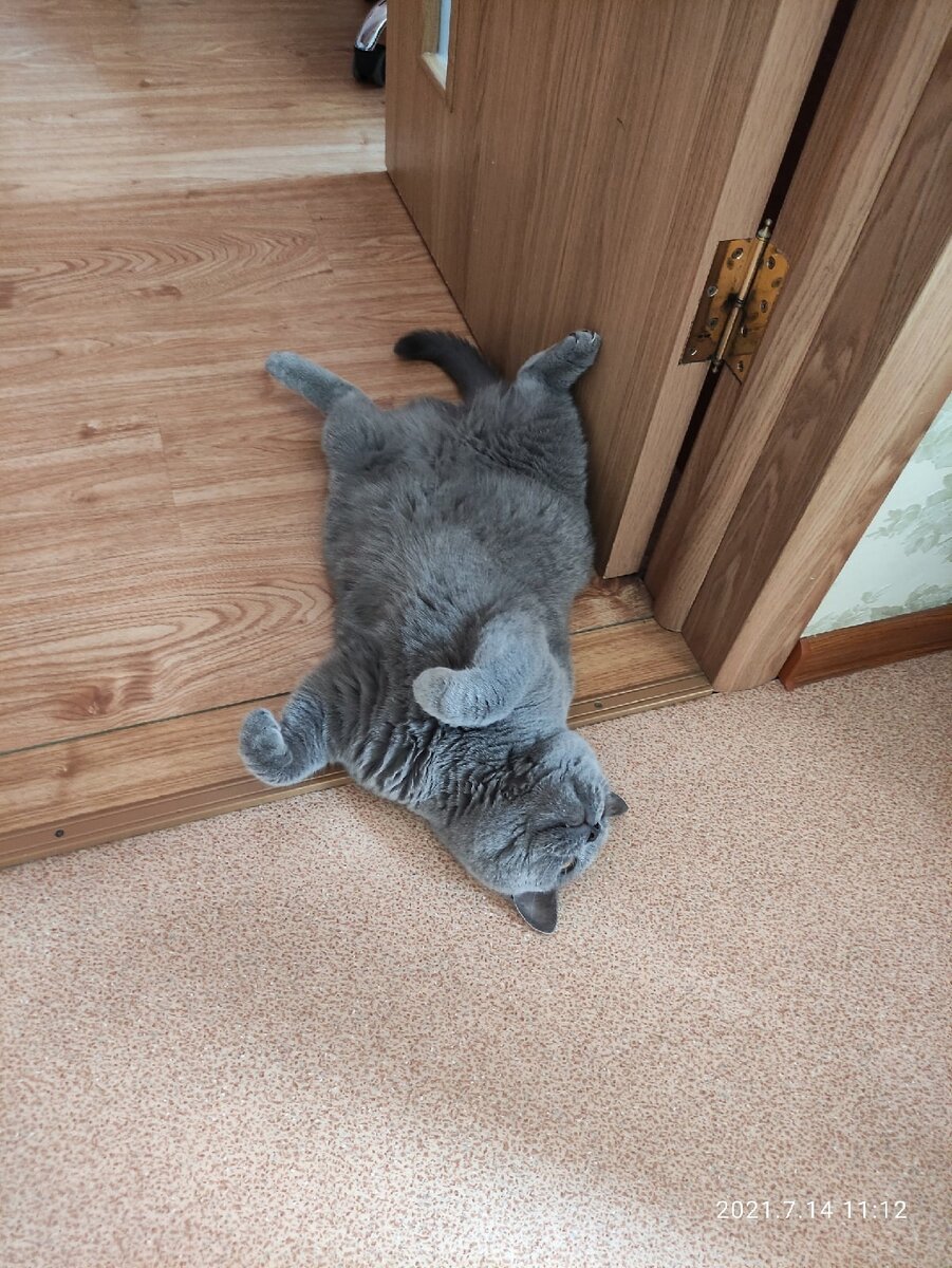 Так Лизавета показывает, что ей нужно уделить внимание.