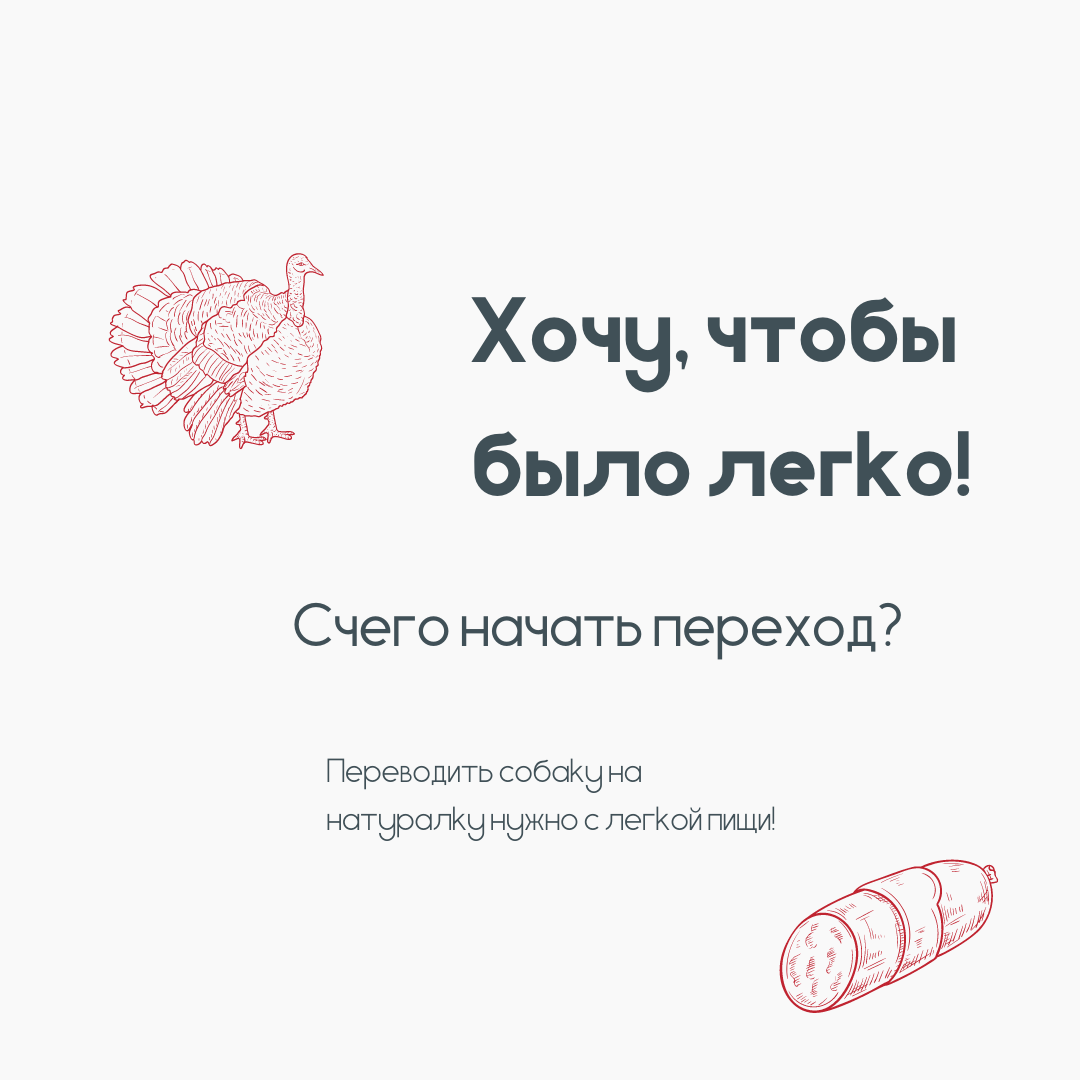 Для плавного перехода с сухого корма на натуральное питание организм собаки должен адаптироваться