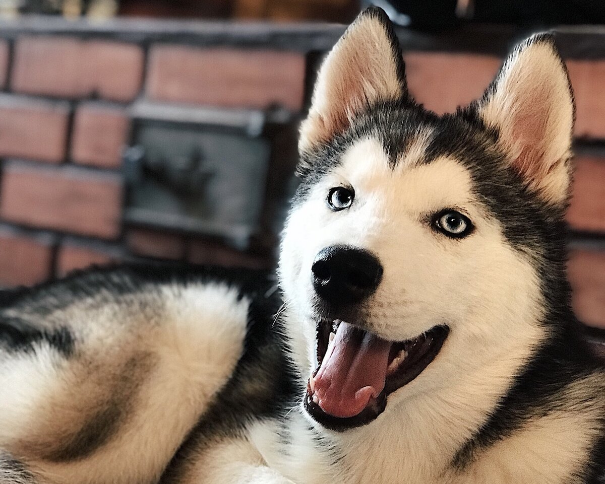 Фотография сделана автором канала.