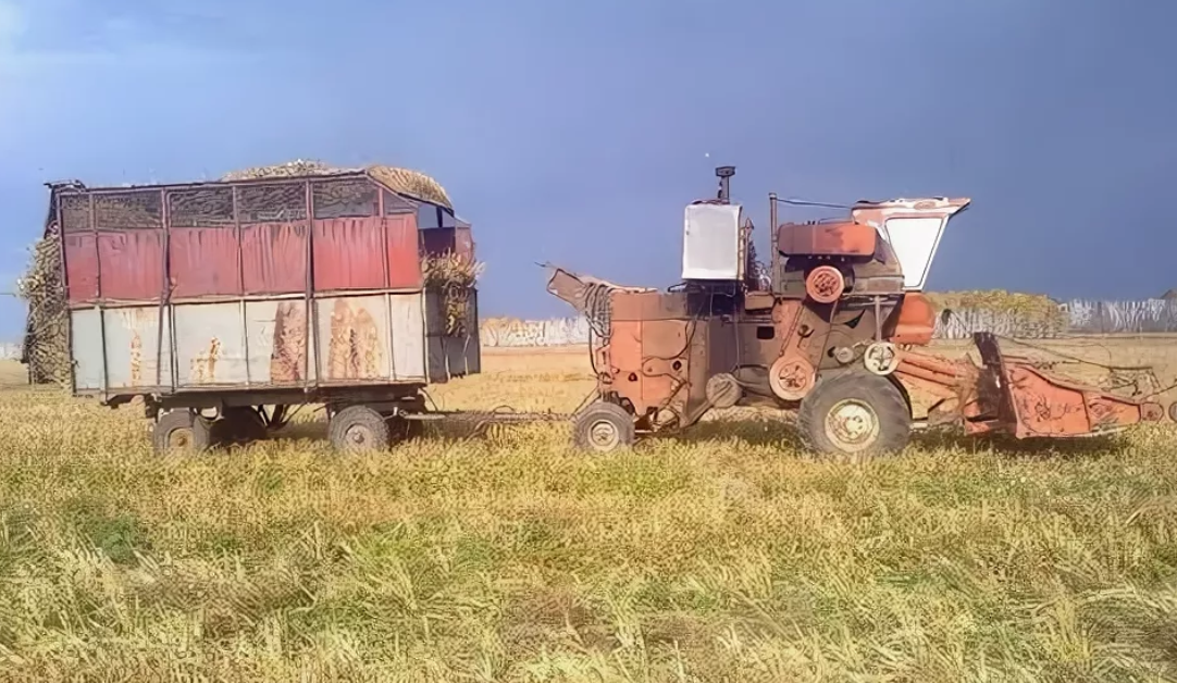 YouTube. Фото с Яндекса.