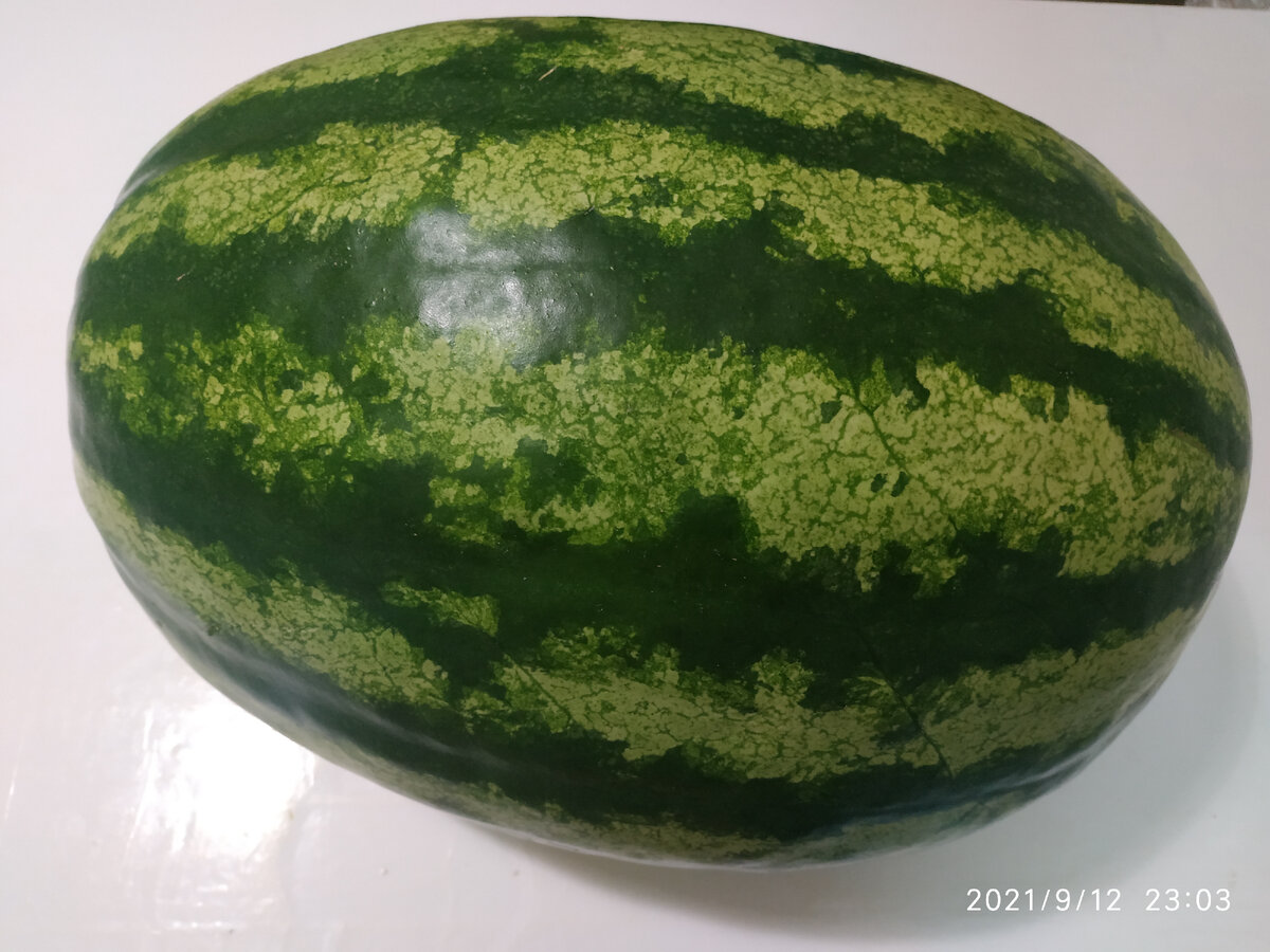 Готовим арбузы для консервации