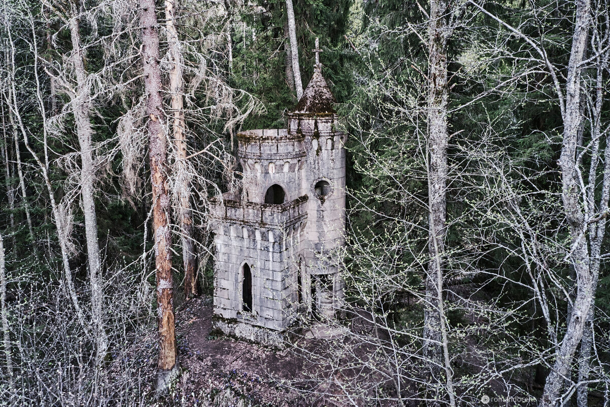 «Игрушечный замок» в дремучем лесу, как из сказки, которую мог бы написать Толкиен в соавторстве со Стругацкими, построен из монолитного железобетона, и поэтому неплохо сохранился, в отличие от остальных построек усадьбы.