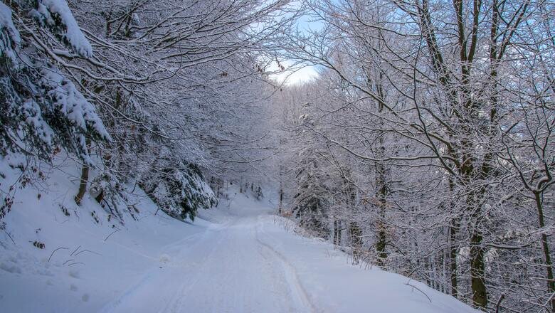 Фото: pexels.com В ХМАО к Новому году ввели в эксплуатацию ещё несколько зимников