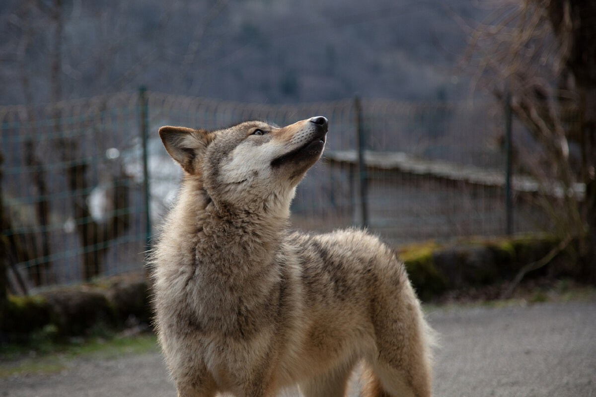 Кадр из фильма