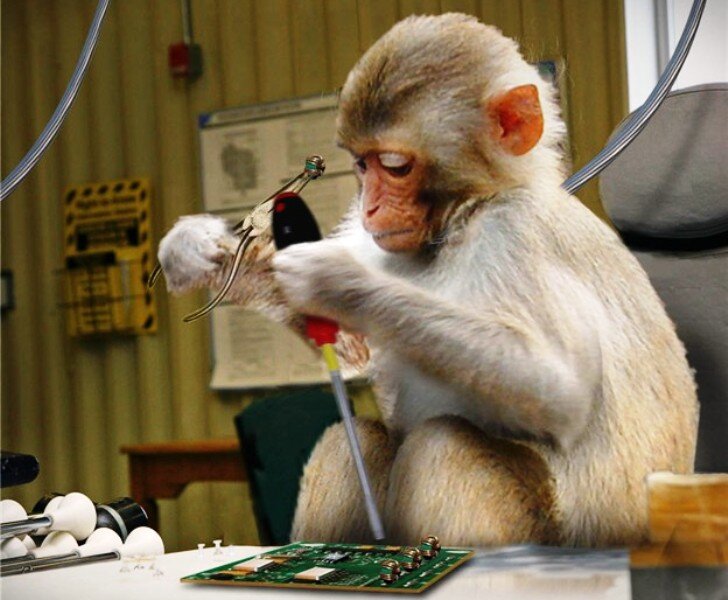 Фото из открытых источников (сайт Яндекс.Картинки).