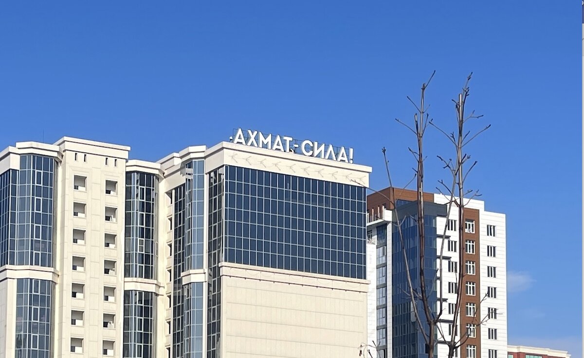 Да, Чеченцы любят свою республику и гордятся ей. Что в этом плохого?