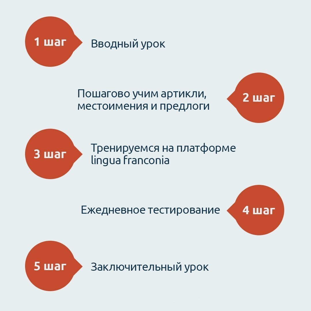 Как разобраться с системой немецких падежей? Онлайн-школа немецкого языка lingua franconia