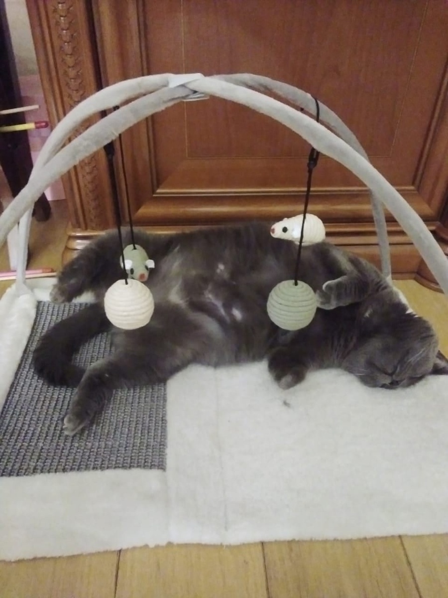 И стала счастливой! 