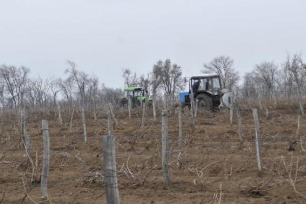 Источник фото: правительство Ростовской области 