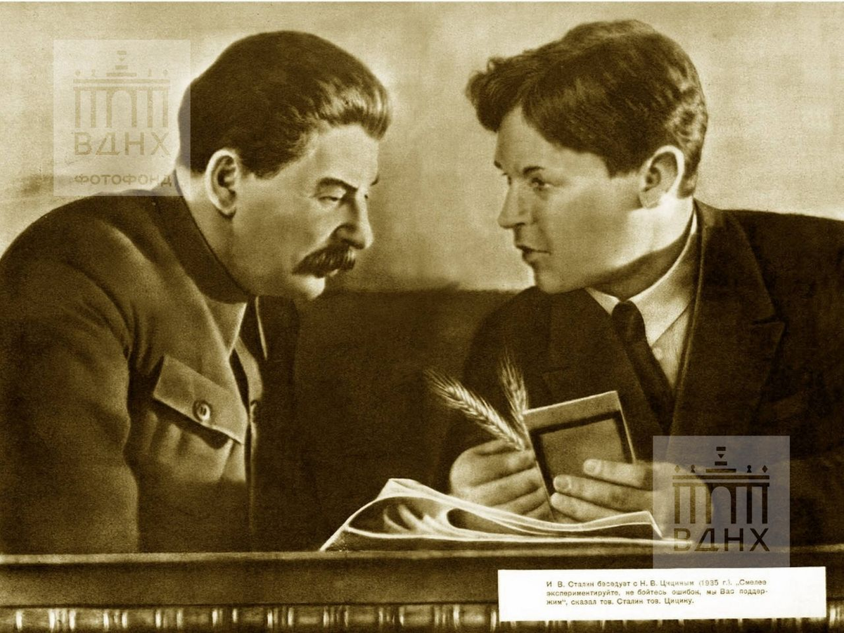 Н.В. Цицин и Сталин на трибуне. Источник: Главный ботанический сад имени Н.В. Цицина РАН 