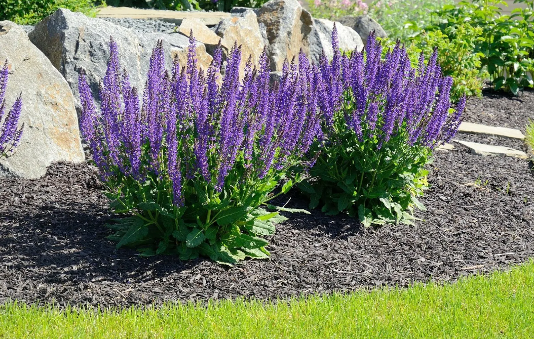 Фото с сайта distano.ru. Использовано для примера.