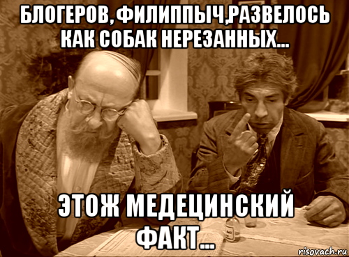 Взять все да и поделить. Шариков Мем. Блоггер юмор. Анекдоты про блогеров. Смешные шутки про блоггеров.