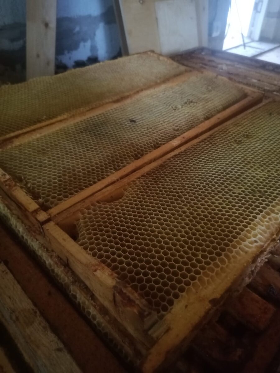 Соты из которых добывается мёд