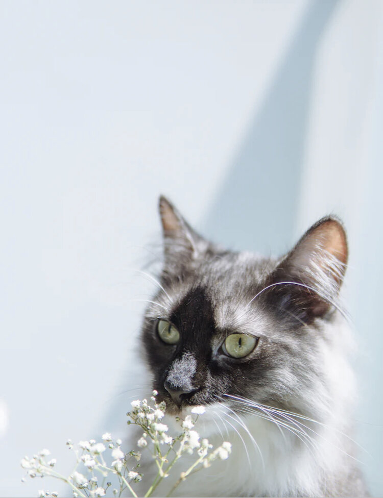 Фото с unsplash 