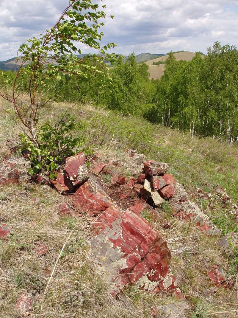 Путешествие по яшмовому поясу Южного Урала | Уральский следопыт  🌲uralstalker | Дзен