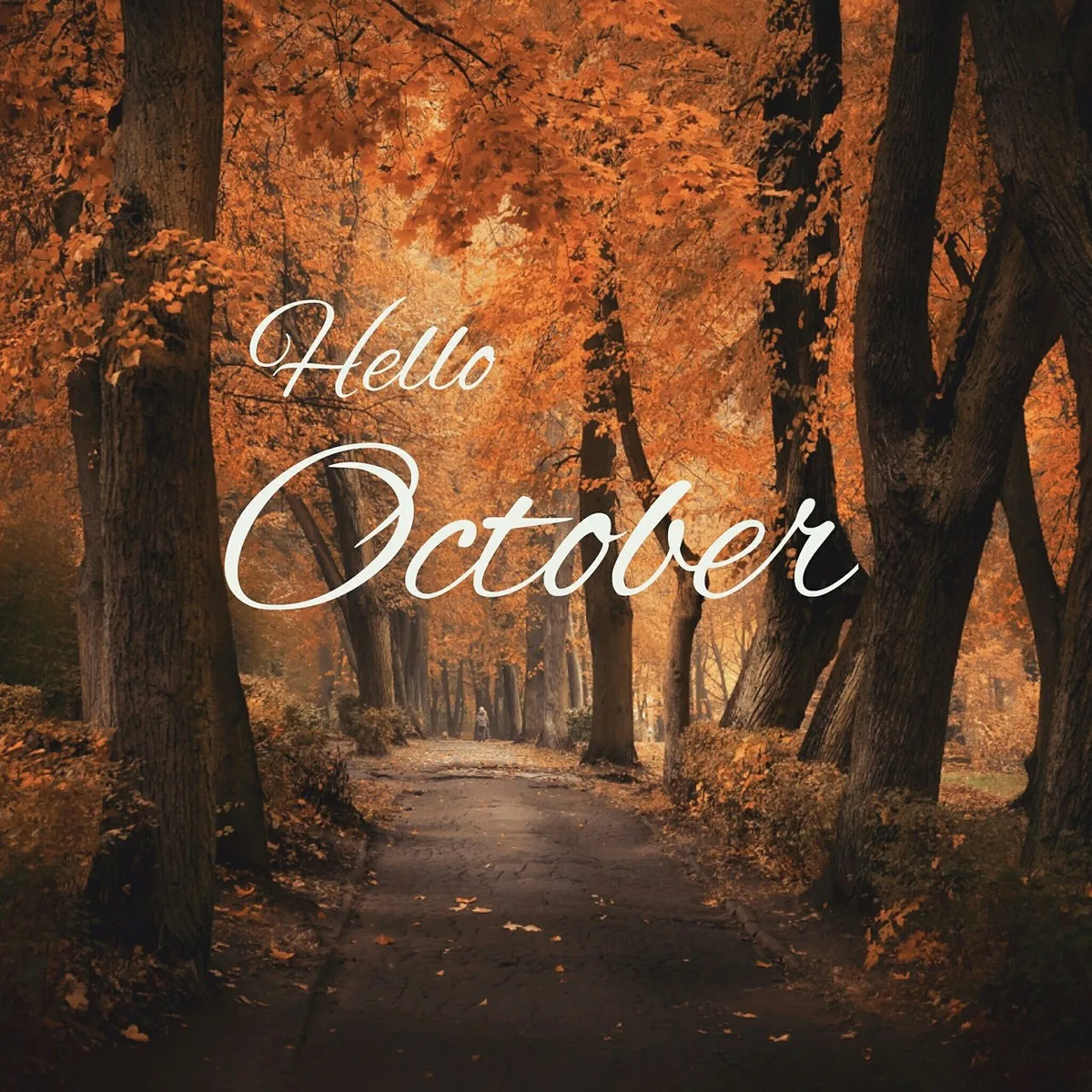 October стильные открытки