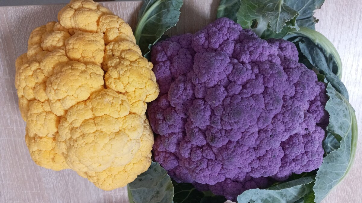 Жизнерадостно выглядят, правда?  Фото автора