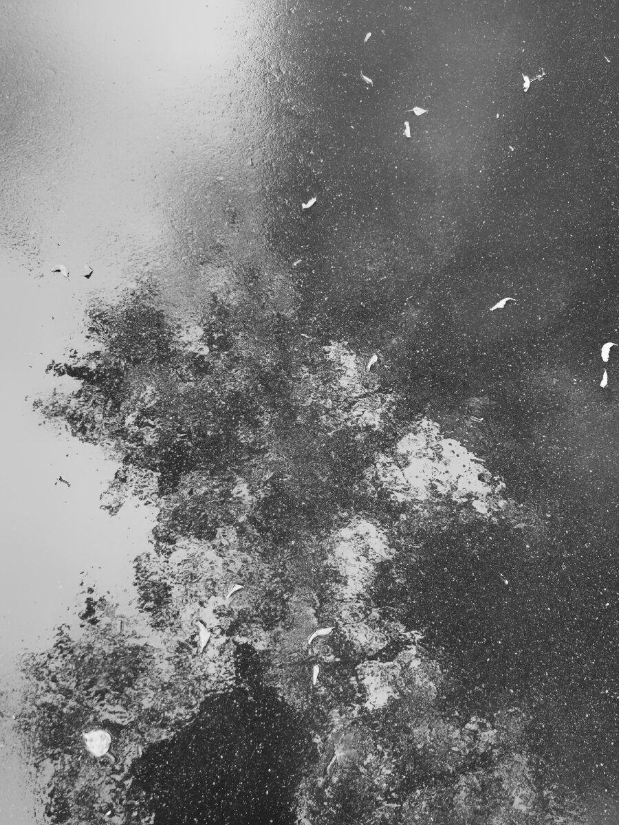 Асфальт во время дождика. И мой контур. 