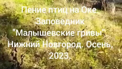 Тишина громадных комнат нарушаемая только изредка пением доносившимся из нижнего этажа нагоняла