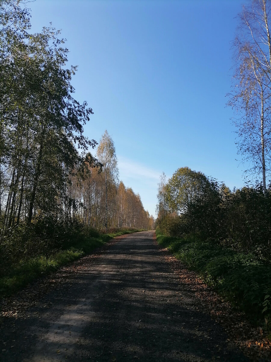Дорога в рай.