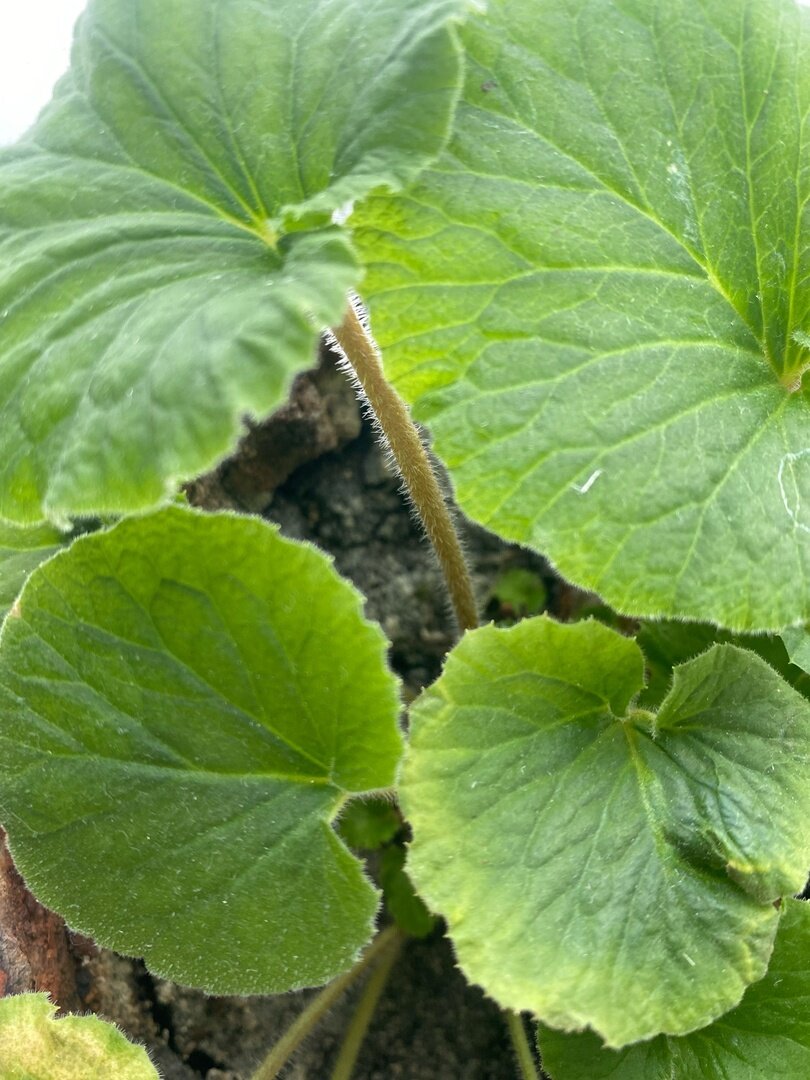 Фото из личного архива автора