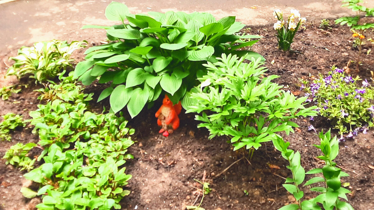 Воскресенье, август, где-то в Москве.