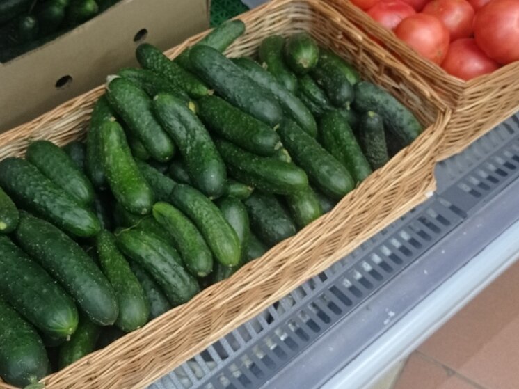     Фото: Вячеслав Коротин