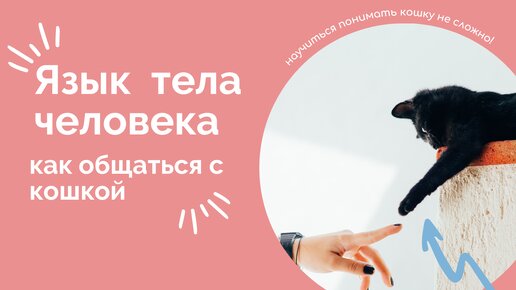 Что ваши жесты значат для кошки?