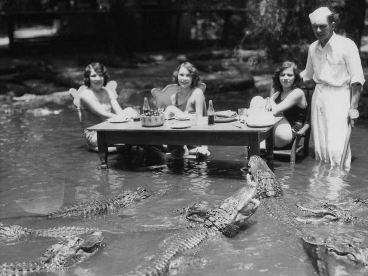 Это фото дорогой американской услуги 1920-х годов - банкет с крокодилами в воде. Американцы любили пощекотать себе нервишки и сделать памятную фотографию об этом. Но все-таки одну из таких групп крокодилы съели и обеды с зубастыми были запрещены.