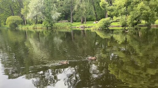 Санкт-Петербург. Прогулка по Центральному парку культуры и отдыха им. С. М. Кирова. Часть 2