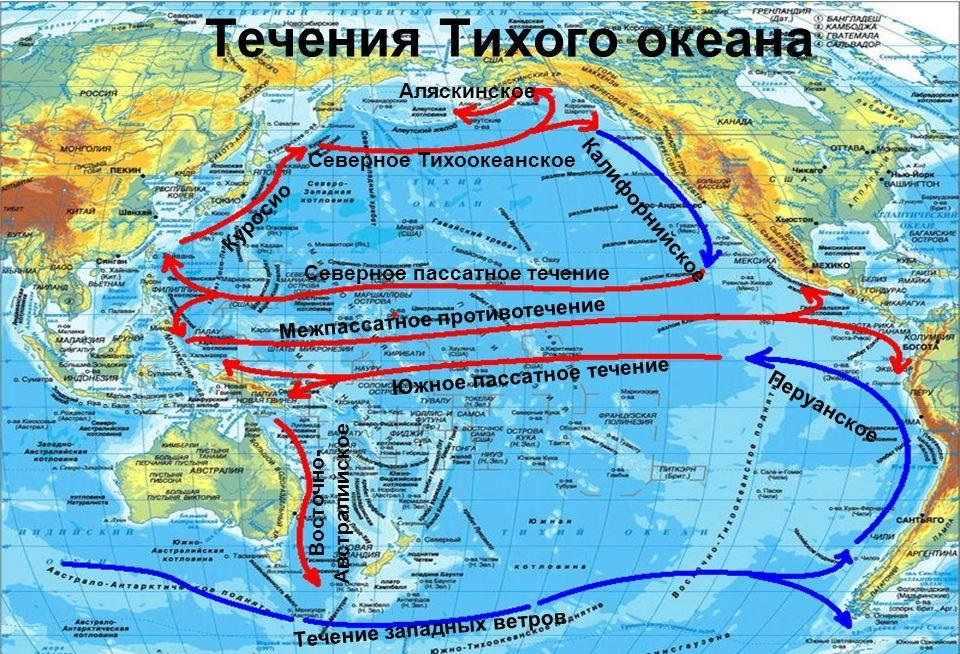 Тихий океан географические открытия. Северное пассатное течение на карте. Северное пассатное течение на карте мирового океана.