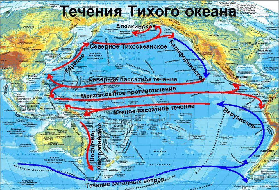 Моря заливы характер береговой линии тихого океана. Северное пассатное течение на карте мира. Южно пассатное течение на карте мира. Тихий океан на карте. Течение Куросио на карте мира.