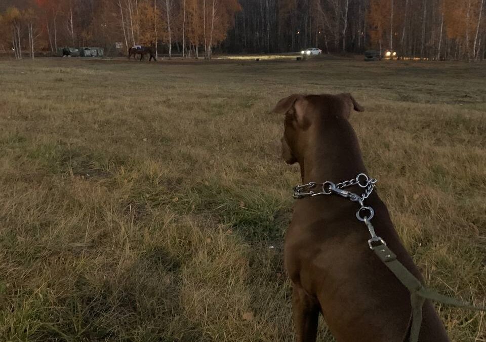 ИА SM-News Тюмень📷
