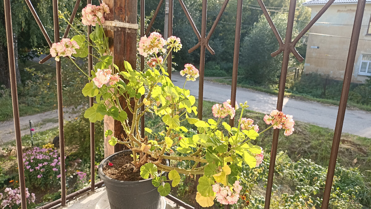 ��������� - �����!