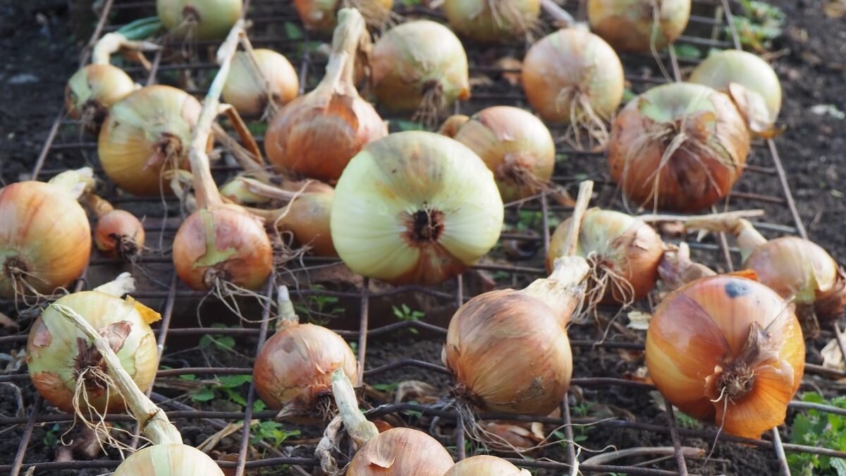    Фото: Russell Moore / Unsplash Август Макаров