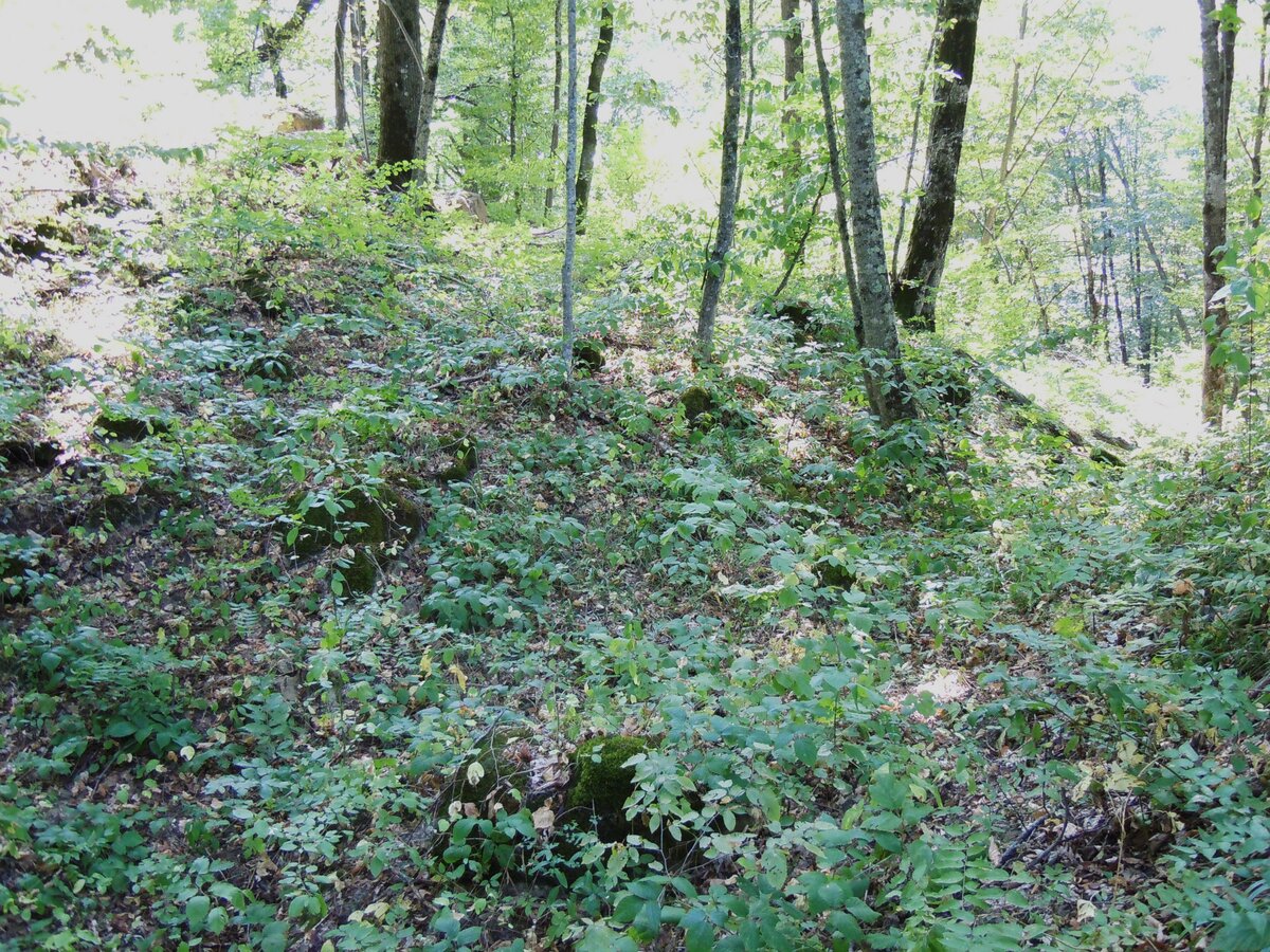 6. Вид на ложбину и южную половину, т. е. на юго-запад