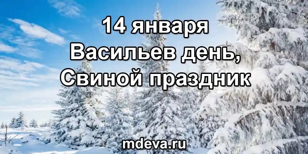 14 января по народному календарю Васильев день, Свиной праздник