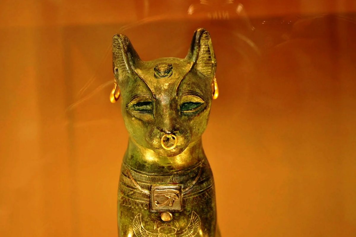 Богиня Бастет в музее