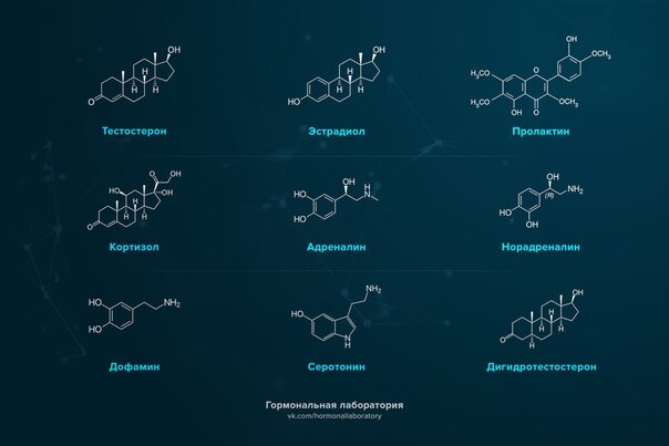 дофамин функции. серотонин когда вырабатывается. серотонин молодость внутри текст. серотонин молодость внутри текст. серотонин молодость внутри текст.