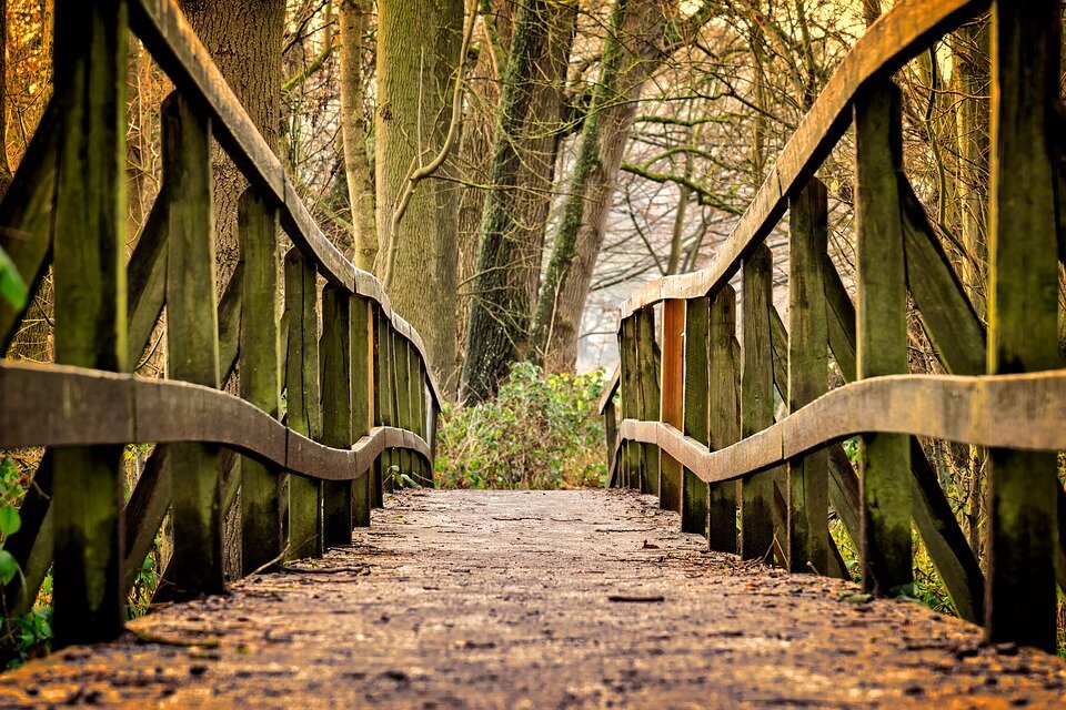 фото с сайта: pixabay.com